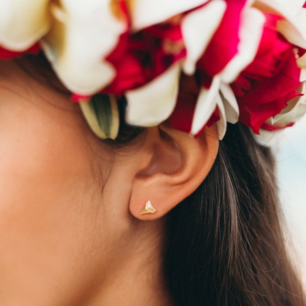Small Shark's Tooth Studs
